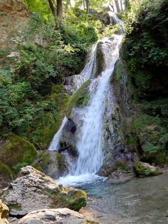 Gesztenyes Apartman Miskolc Bagian luar foto