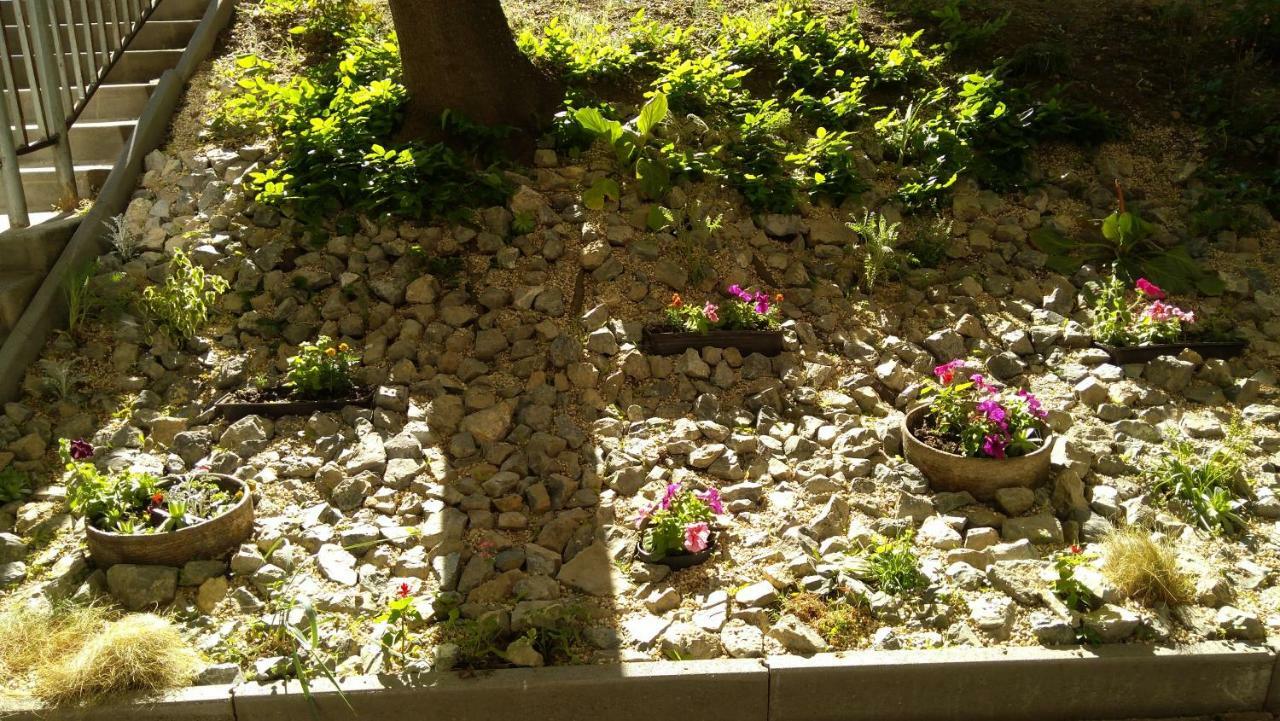 Gesztenyes Apartman Miskolc Bagian luar foto