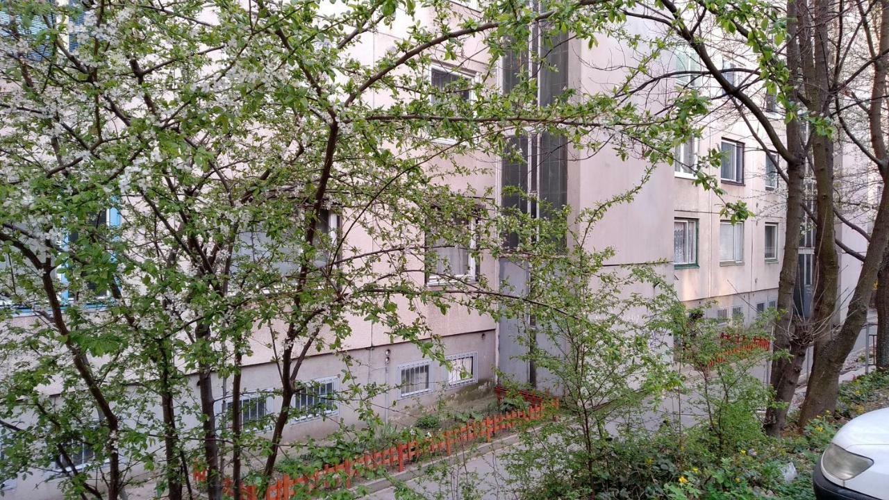 Gesztenyes Apartman Miskolc Bagian luar foto